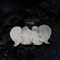 White Orchid Earrings